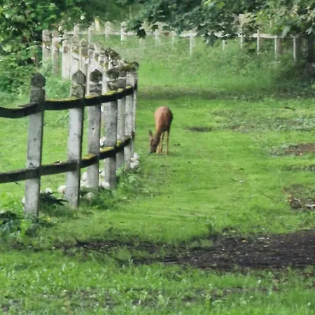 Chalet Le Chateau De Blier, Between Durbuy And La Roche-en-ardenne *
